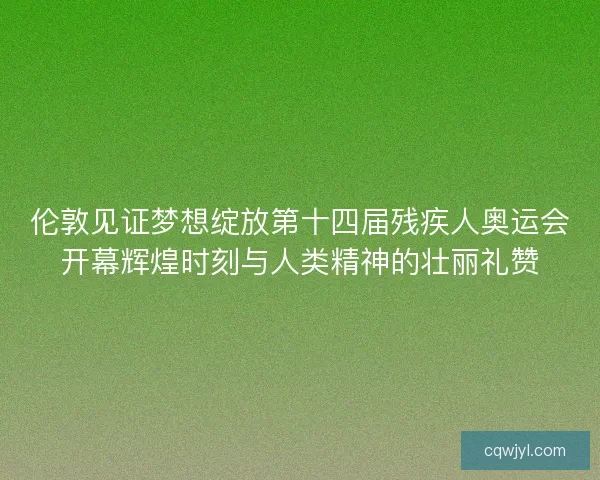 伦敦见证梦想绽放第十四届残疾人奥运会开幕辉煌时刻与人类精神的壮丽礼赞