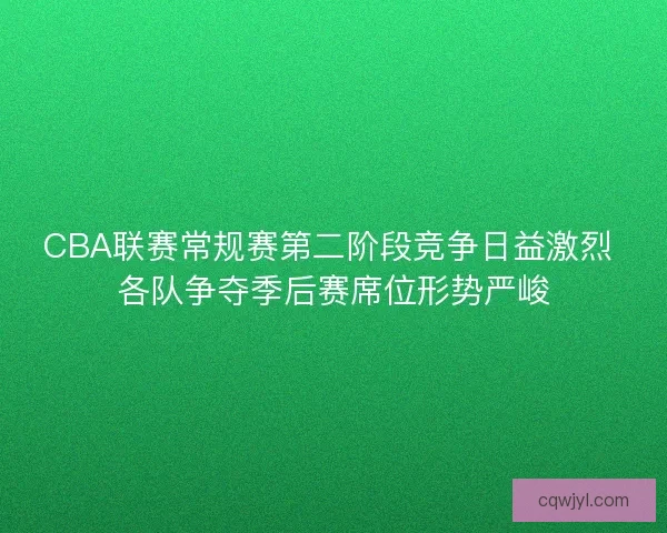 CBA联赛常规赛第二阶段竞争日益激烈 各队争夺季后赛席位形势严峻