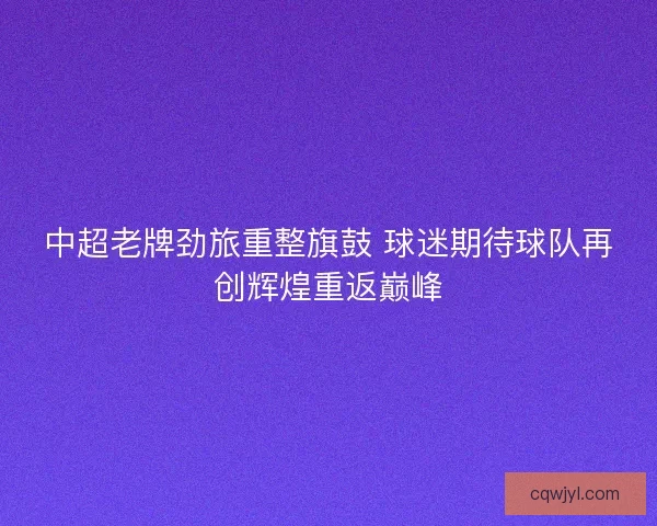 中超老牌劲旅重整旗鼓 球迷期待球队再创辉煌重返巅峰