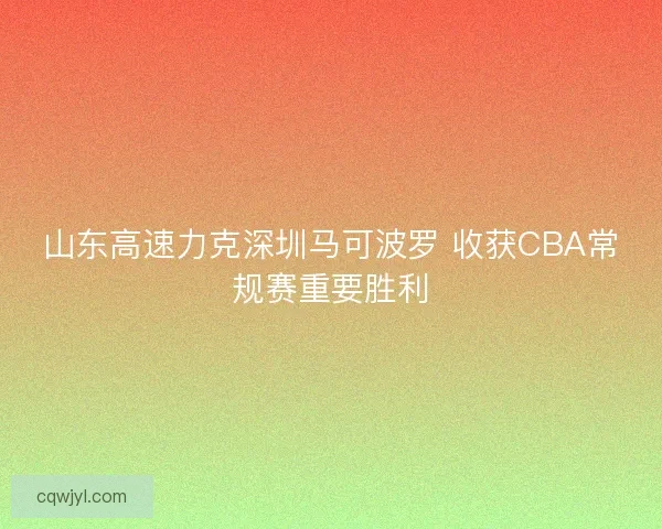 山东高速力克深圳马可波罗 收获CBA常规赛重要胜利